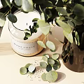 Decorative Ornament Set On Tray With Eucalyptus Glass Vase Reed Diffuser Scented Candle Ceramic Bowl