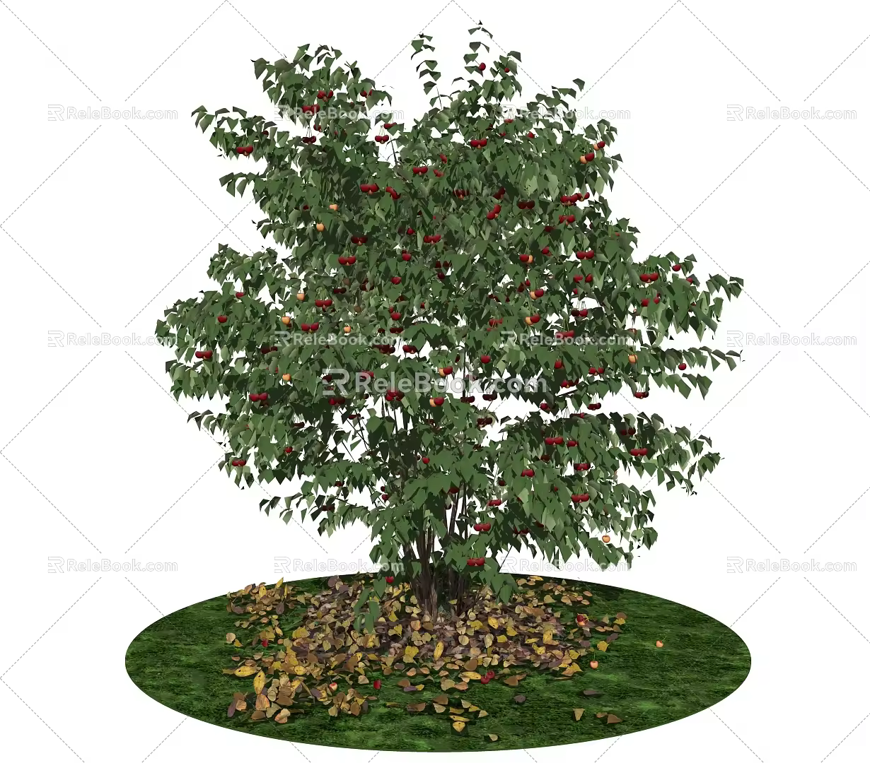 Modern Fruit Trees Landscape Trees Cherry Trees Courtyard Fruit Trees 3d model