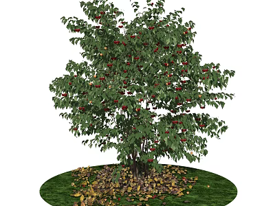 Fruiting Arbor With Green Leaves Red Fruits And Fallen Leaves On Green Grass 3d model