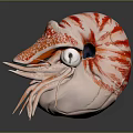 Modern Nautilus Conch Bone Snail 3d model