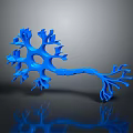neuron nerve cell nerve terminal 3d model