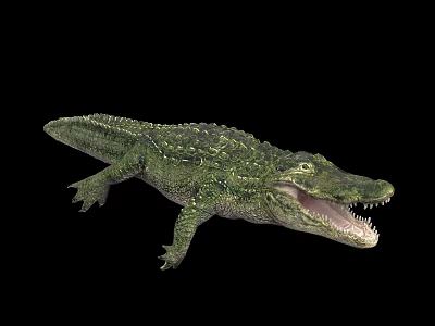 Green Alligator With Open Mouth And Scaly Skin On Black Background 3d model