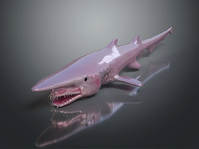 Pink Shark With Sharp Teeth On Dark Background Showing Clear Reflection 3d model
