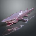Pink Shark With Sharp Teeth On Dark Background Showing Clear Reflection 3d model