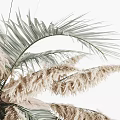 Elegant Dried Pampas Grass Palm Leaves And Wheat Ears Home Decor Arrangement