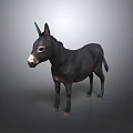 Realistic Black Donkey Standing Isolated On Gray Background With Full Body View 3d model