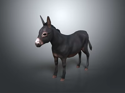 Realistic Black Donkey Standing Isolated On Gray Background With Full Body View 3d model