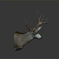 Realistic Deer Head Taxidermy Mount With Brown Antlers For Wall Decor
