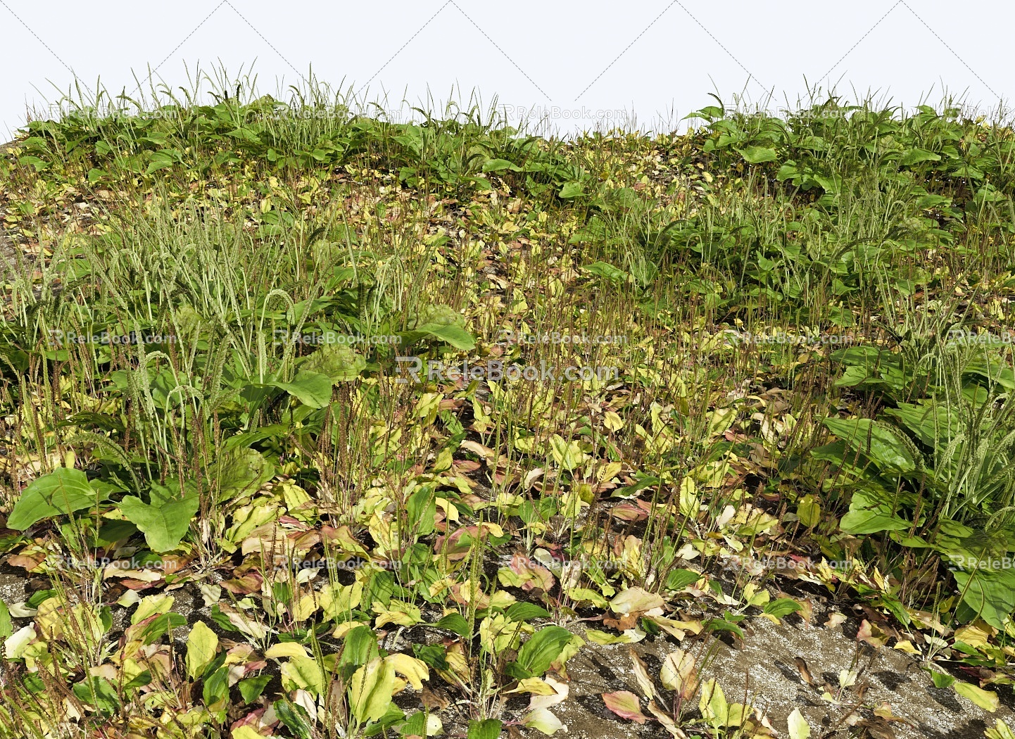 Modern Grassland Shrub Grass Green Plant Shrub Plant Pile Landscape Tree 3d model