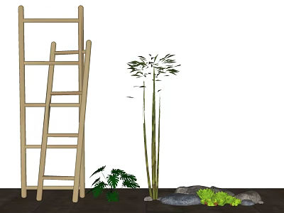 Tall Bamboo Tree Standing With Wooden Ladder Stones And Green Plants In Outdoor Setting 3d model