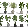 Various Green Leafy Potted Plants In Different Ceramic Pots For Home Decor 3d model