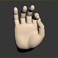 Detailed Anatomical Hand 3D Model With Smooth Texture Light Color And Dark Background