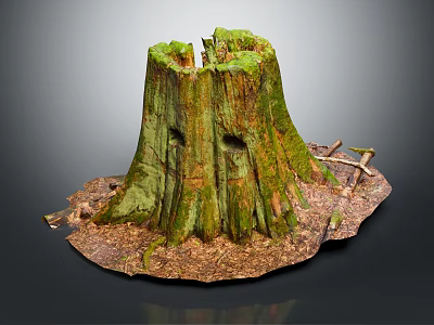 Natural Wood Tree Stump With Green Moss And Rustic Branches On Ground 3d model