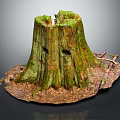Natural Wood Tree Stump With Green Moss And Rustic Branches On Ground