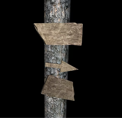 Wooden Billboards Mounted On Tree Trunk With Bark Texture Three Rustic Signs Against Black Background 3d model