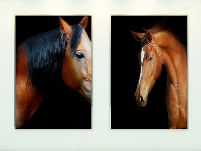Brown Horse Head Animal Paintings With Black Background Set of Two 3d model