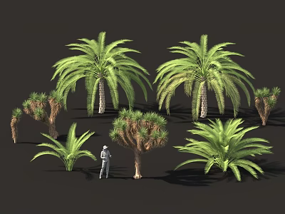 Diverse Green Shrubs Including Palm And Cactus Plants With Scale Figure For Landscape Decor 3d model