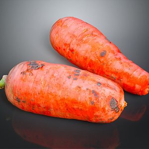 Radish Carrot CG Radish Carrot CG Carrot Cartoon Radish 3d model