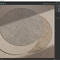 Modern Round Carpet 3d model