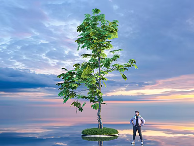 Tall Green Tree Standing In Grass Patch With Sunset Sky Clouds Reflection And Person Nearby 3d model