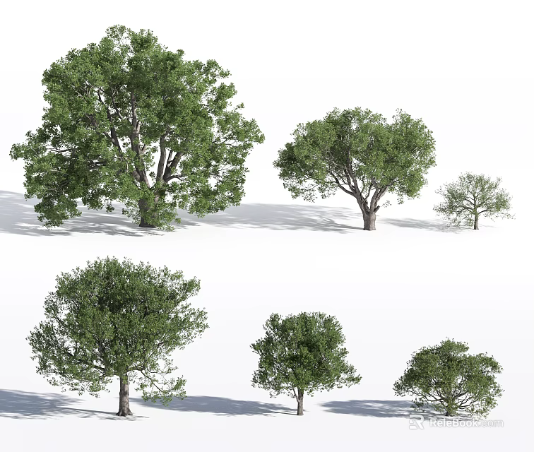 Arbor Trees With Various Sizes Green Foliage And Diverse Shapes 3d model