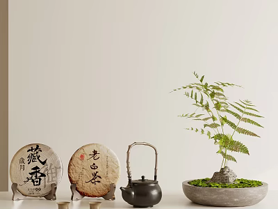 Traditional Chinese Tea Set with Calligraphy Tea Cakes Black Teapot and Green Plant 3d model