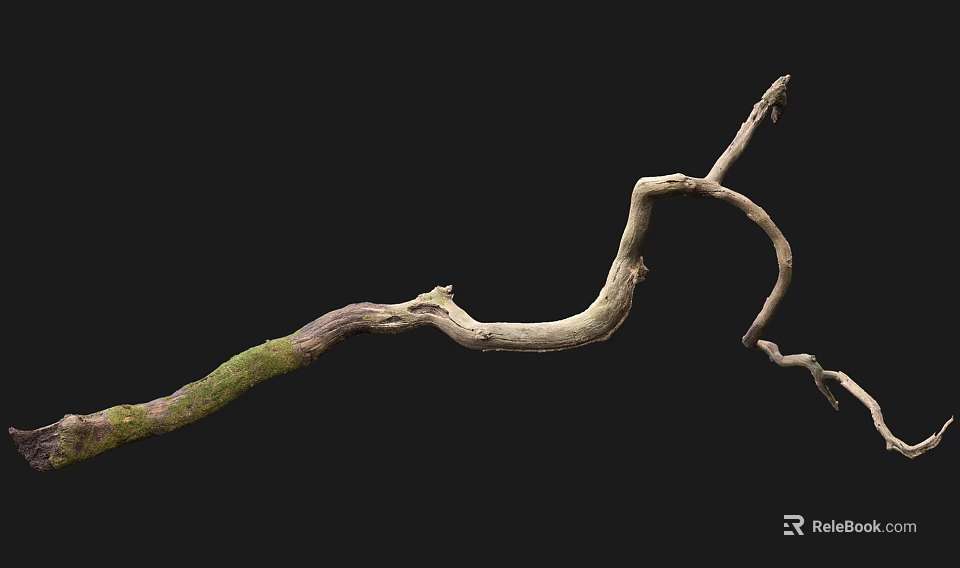 Curved Wooden Branch With Green Moss And Natural Organic Texture On Black Background 3d model 