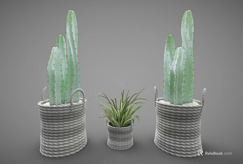 Decorative Bonsai Potted Plants With Cactus And Small Greenery In Woven Baskets 3d model 