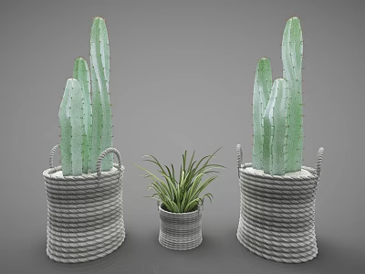 Decorative Bonsai Potted Plants With Cactus And Small Greenery In Woven Baskets 3d model