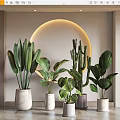 Stylish Indoor Potted Plants With Diverse Leaf Shapes And Decorative Planters
