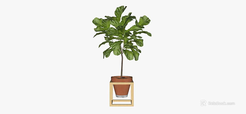 Indoor Fiddle Leaf Fig Potted Plant with Brown Terracotta Pot on Wooden Stand 3d model 