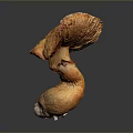 Crispy Roasted Orange Yellow Mushroom With Unique Shape And Delicious Taste