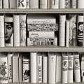Stylish Bookshelf Collection With Various Books Magazines And Cover Designs