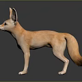 Fennec Fox With Large Ears And Light Brown Fur Standing On Dark Background
