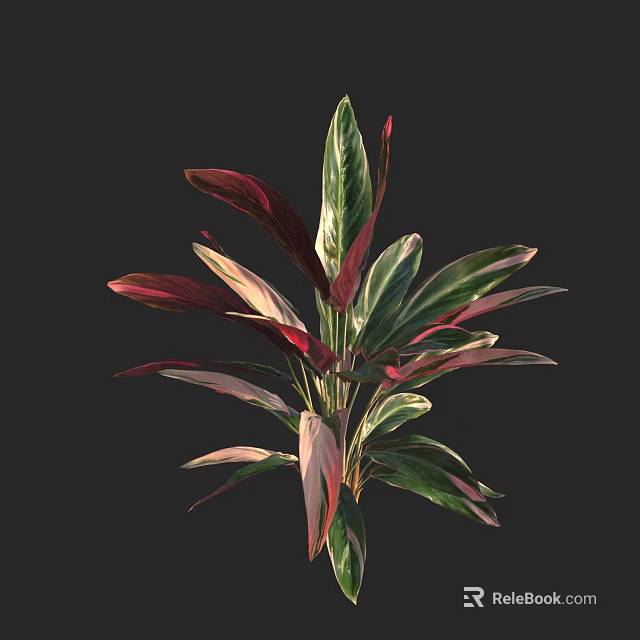 Vibrant Indoor Decorative Plant With Green Red And Pink Variegated Leaves 3d model 