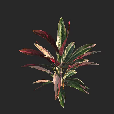 modern plant green plant 3d model