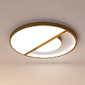 Modern LED Ceiling Lights With Various Shapes And Decorative Metal Frames Design 3d model