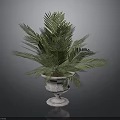 Green Palm Plant in Decorative Stone Planter with Lush Fronds for Garden