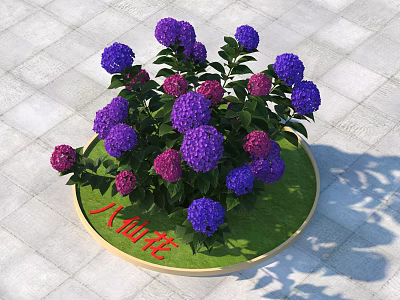 Purple and Pink Hydrangea Flowers in Round Green Planter on Tile Floor 3d model