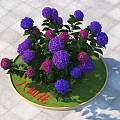 Purple and Pink Hydrangea Flowers in Round Green Planter on Tile Floor