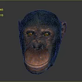 Monkey Cartoon Monkey Anime Monkey Stylized Monkey Fantasy Style Monkey Toy 3d model