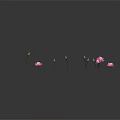 Small Green Frog Resting On Lotus Leaf With Pink Flowers Black Background