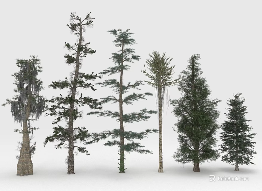 Different Types of Trees With Varied Trunk Shapes and Diverse Foliage Structures 3d model 