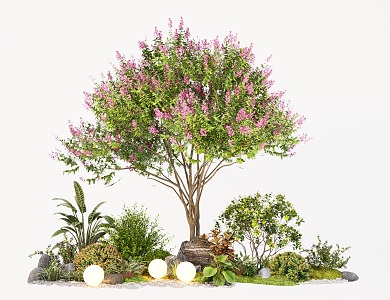 modern courtyard plant combination modeling crape myrtle tree shrub green plant 3d model