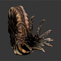 Intricate Handcrafted Ammonite Sculpture With Detailed Tentacles And Artistic Shell Design