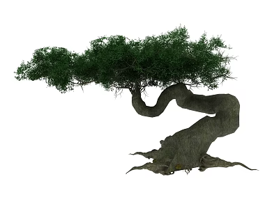 Lush Green Arbor With Curved Trunk And Exposed Roots In Natural Environment 3d model