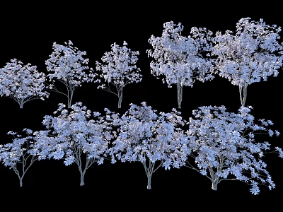 Lush White Arbor Trees With Dense Foliage Isolated On Black Background 3d model