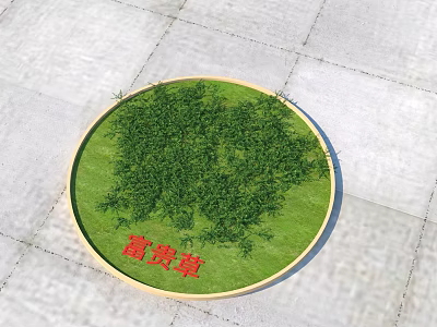 Circular Green Fugui Huang Flowers And Plants Decorative Garden Area 3d model