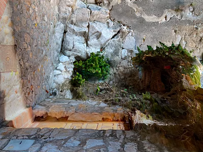 Ancient Building Structure With Stone Wall Stone Steps Brick Elements And Green Plants 3d model