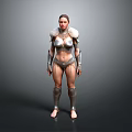 Woman In Silver Warrior Armor Full Body Standing Pose With Detailed Design